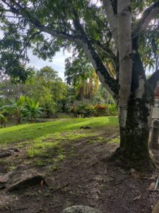 Hogar geriátrico en Villeta, Cundinamarca