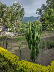 Hogar geriátrico en Villeta, Cundinamarca