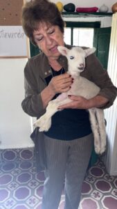 Hogar geriátrico campestre cerca a Bogotá