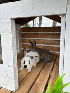 Hogar geriátrico campestre cerca a Bogotá